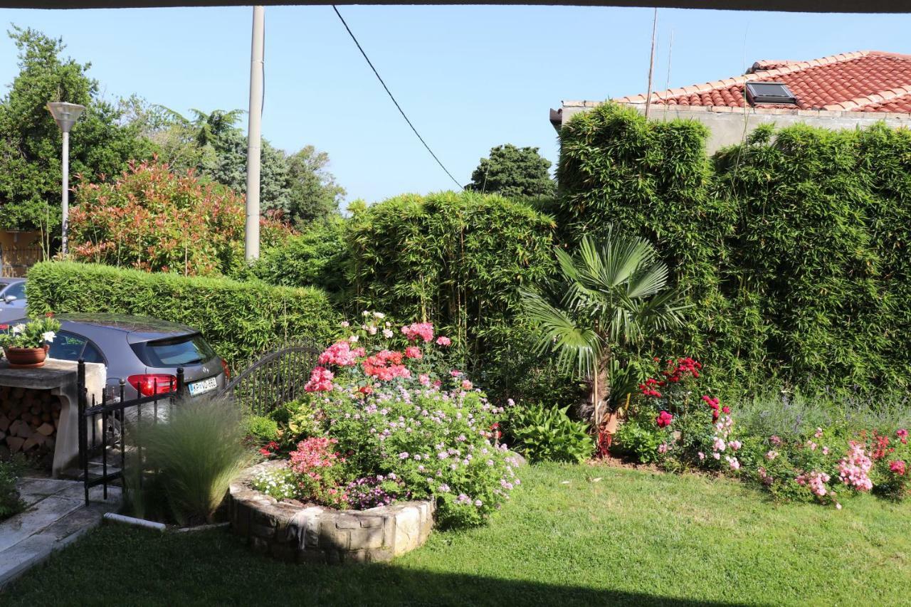 Soraja Apartments איזולה מראה חיצוני תמונה